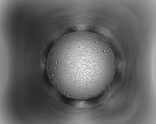 X0000088680507200706071429