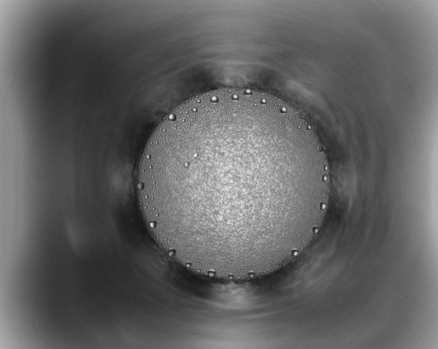 X0000088680511200706071429
