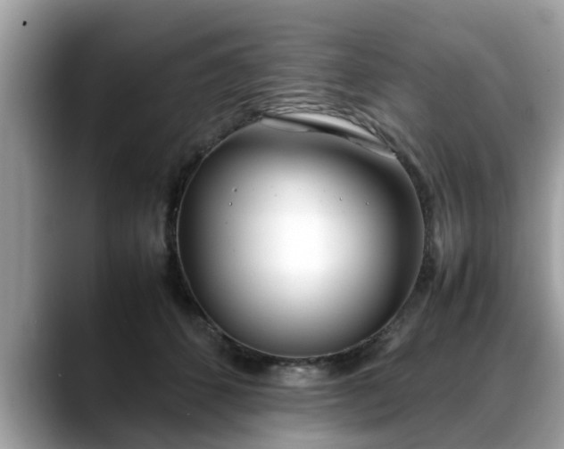 X0000088680512200706071429