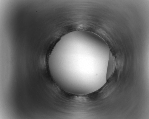 X0000088680520200706071429