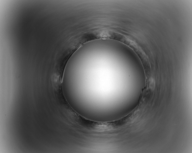 X0000088680521200706071429