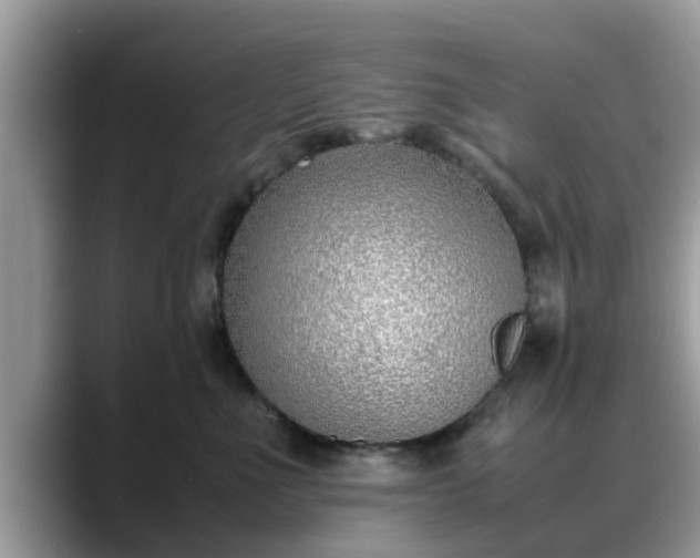 X0000088680523200706071429