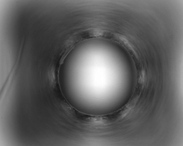 X0000088680524200706071429