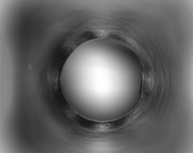 X0000088680525200706071429