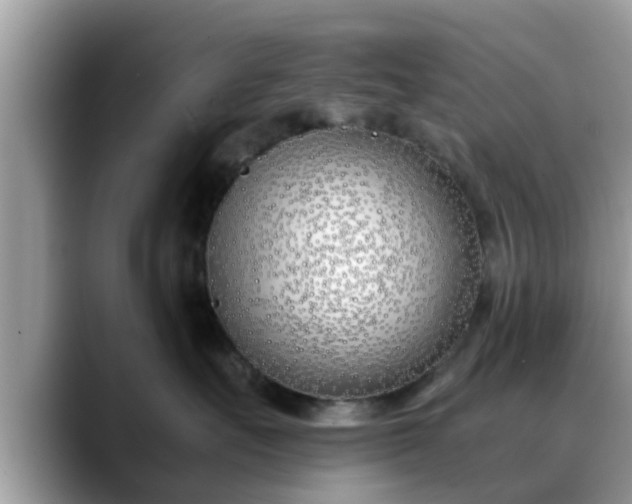 X0000088680527200706071428