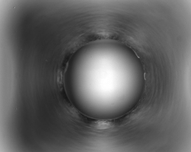 X0000088680528200706071428