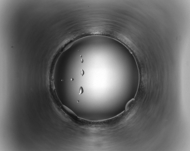 X0000088680530200706071428