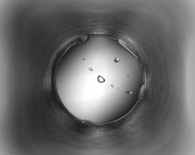X0000088680531200706071428