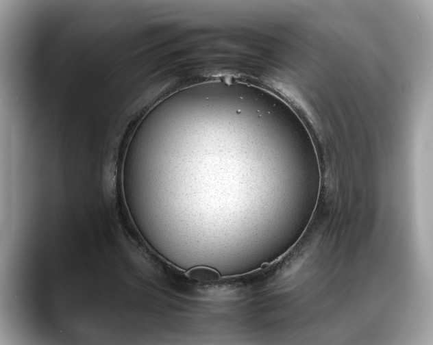 X0000088680533200706071428