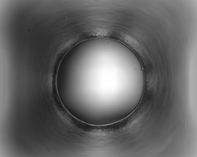 X0000088680538200706071428