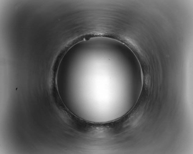 X0000088680540200706071428