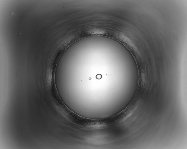 X0000088680541200706071428