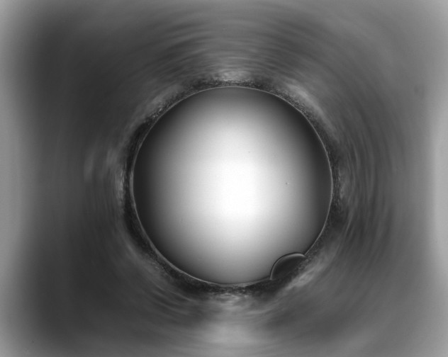 X0000088680542200706071428