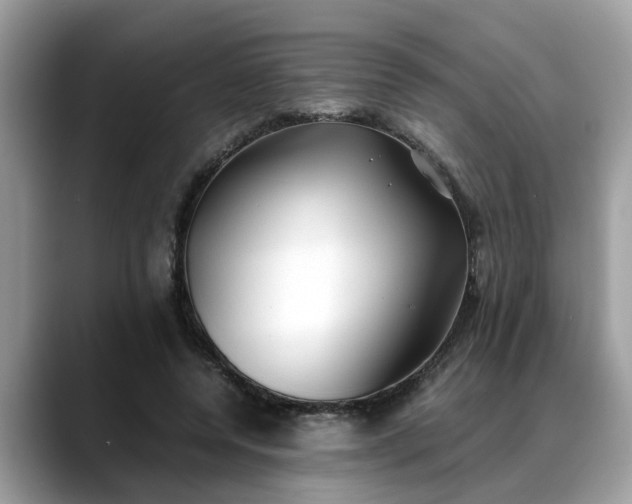 X0000088680544200706071428