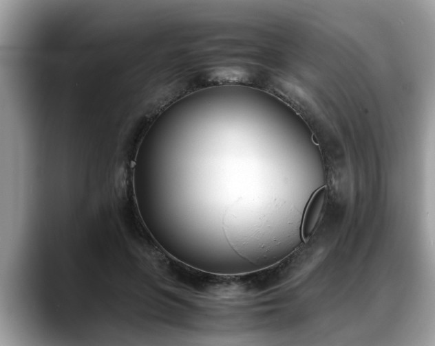 X0000088680551200706071428