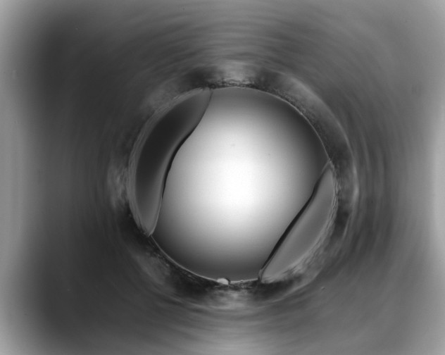 X0000088680552200706071428