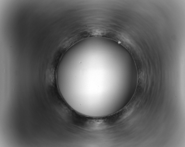X0000088680554200706071428