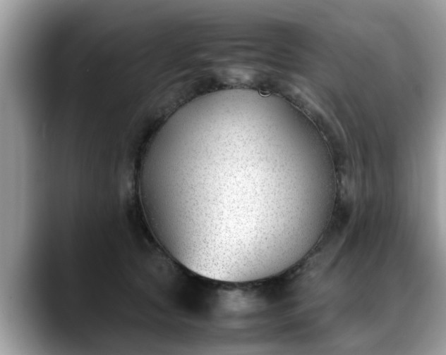 X0000088680561200706071428