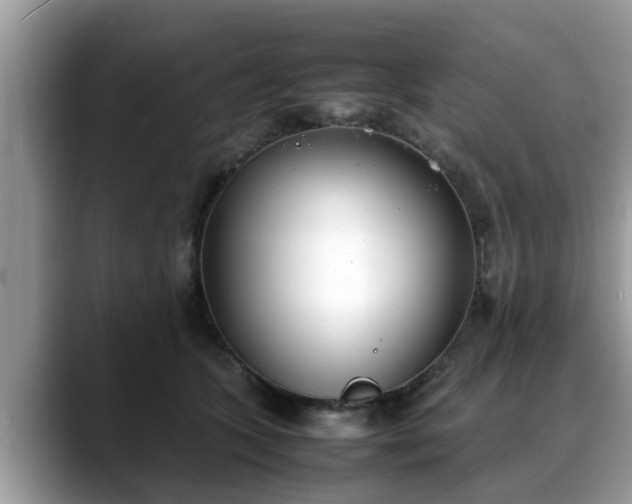 X0000088680563200706071428