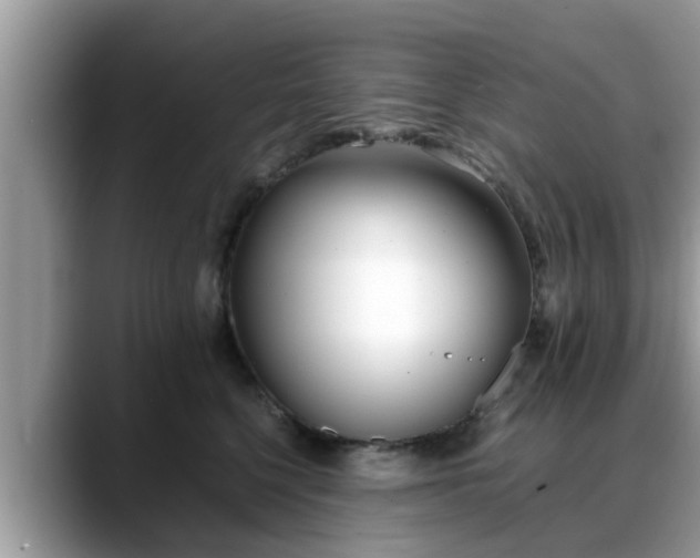 X0000088680568200706071428