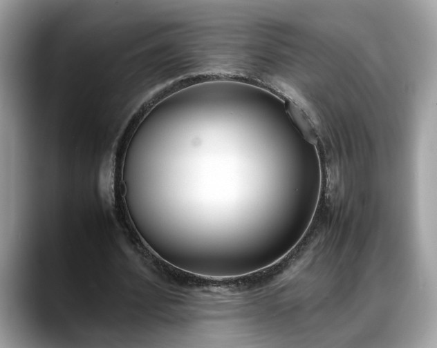 X0000088680580200706071428
