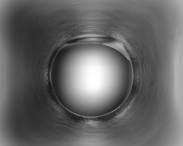X0000088680585200706071428