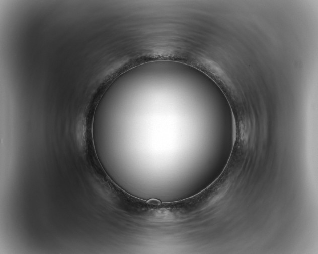 X0000088680588200706071428