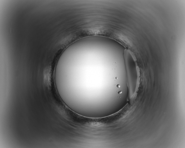 X0000088680590200706071428