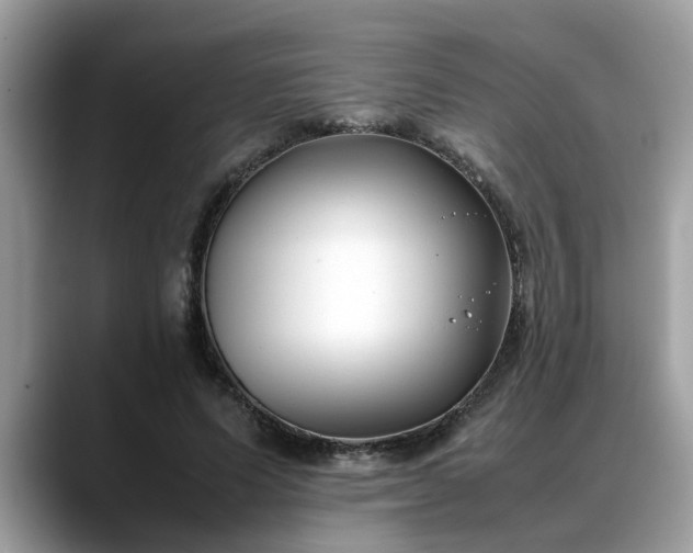 X0000088680591200706071428