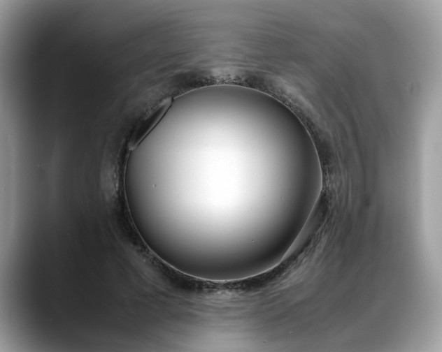 X0000088680593200706071428