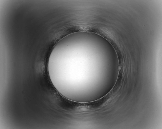 X0000088680595200706071428