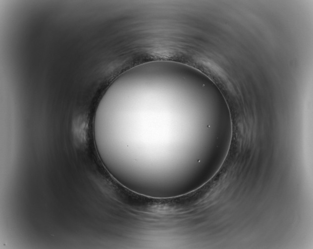 X0000088680596200706071428