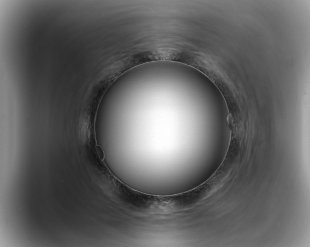 X0000088680599200706071428