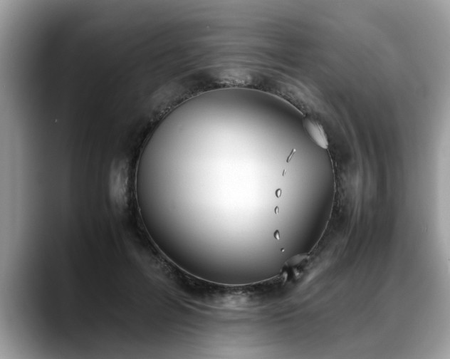 X0000088680600200706071428
