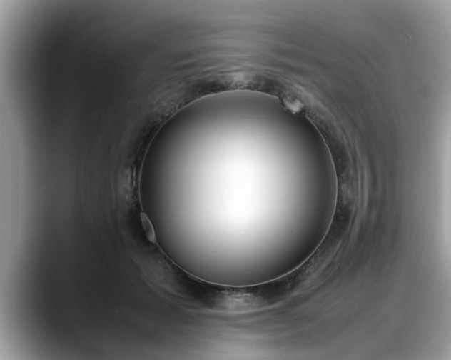 X0000088680605200706071427
