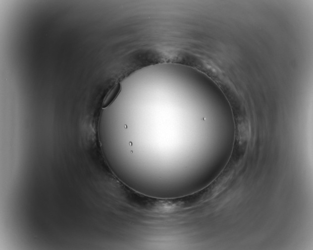 X0000088680613200706071427