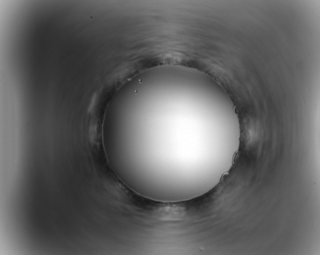X0000088680619200706071427
