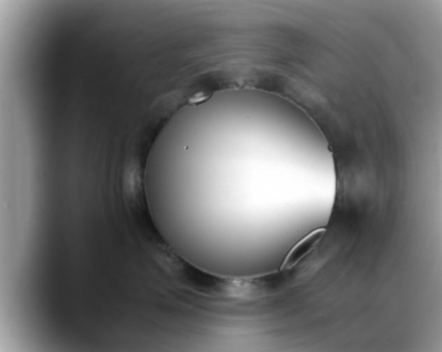 X0000088680623200706071427