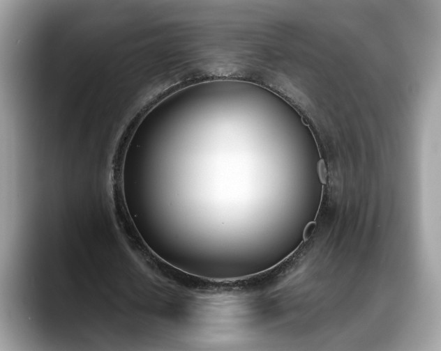 X0000088680626200706071427