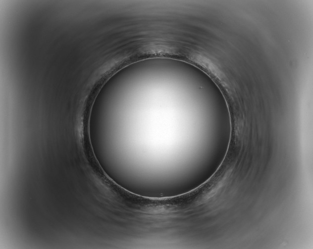 X0000088680629200706071427