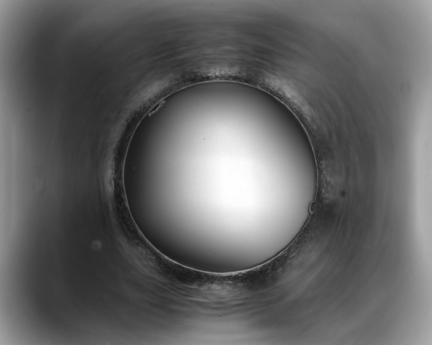 X0000088680631200706071427