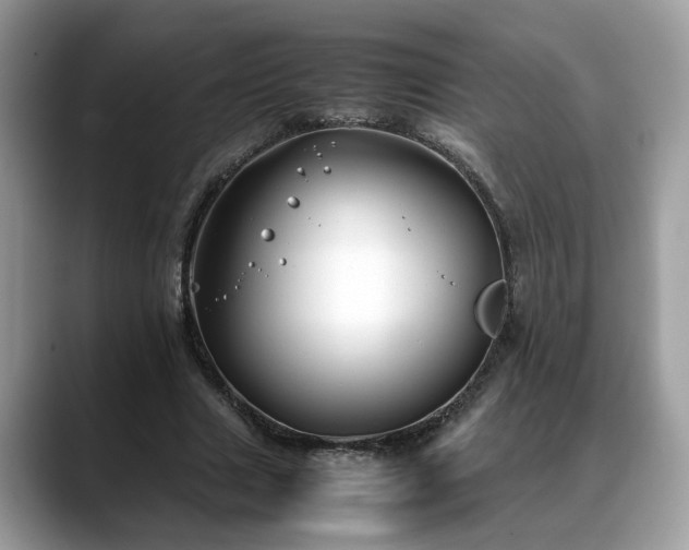 X0000088680633200706071427