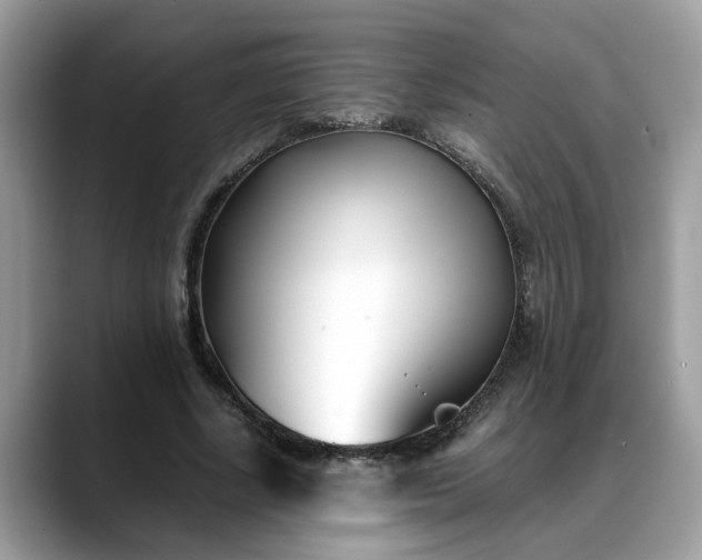 X0000088680634200706071427