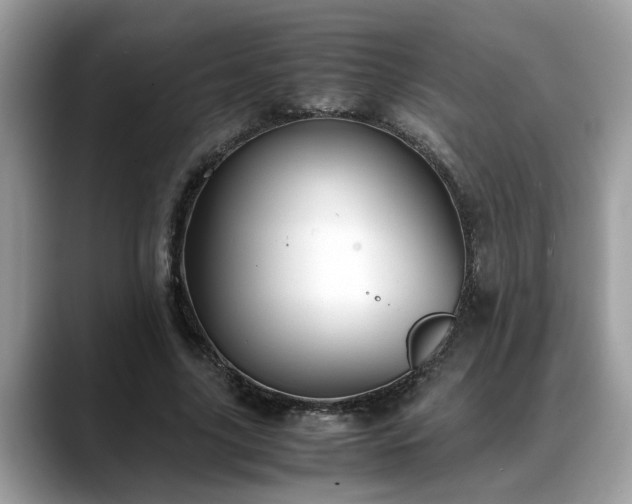 X0000088680635200706071427