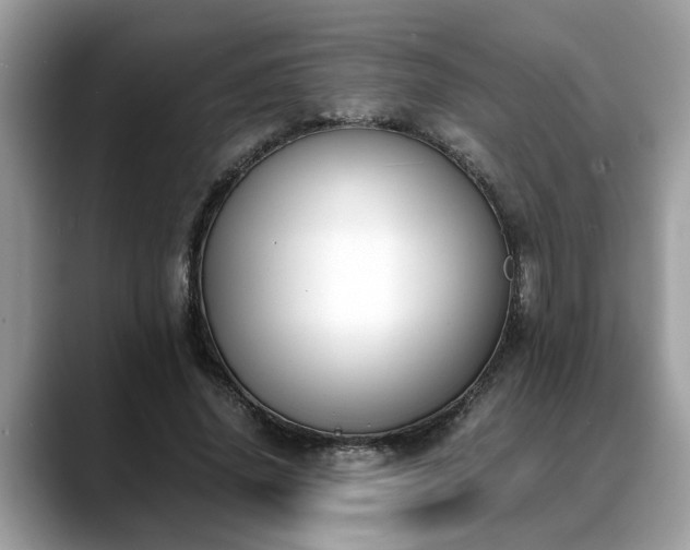 X0000088680636200706071427