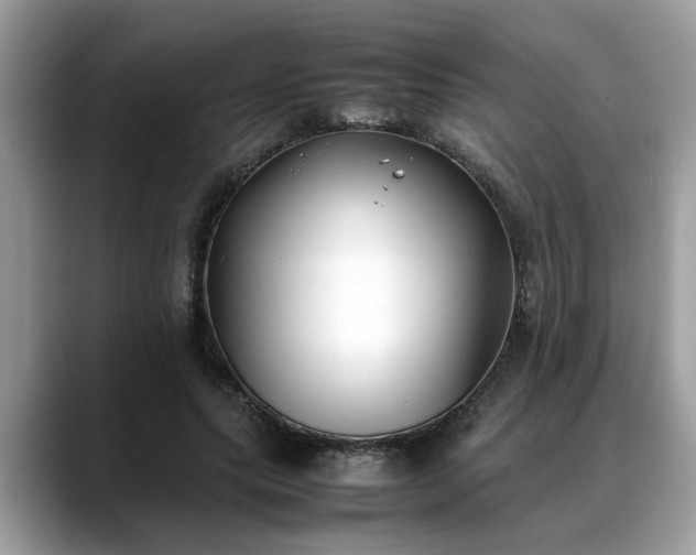 X0000088680639200706071427