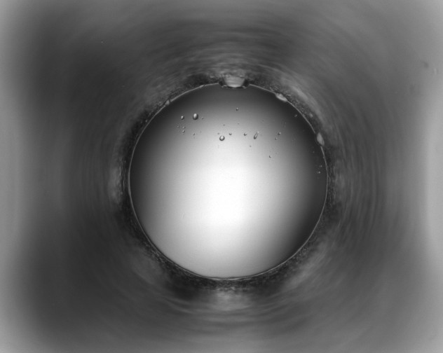 X0000088680641200706071427
