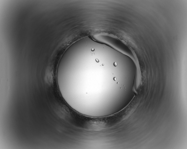 X0000088680644200706071427