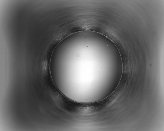 X0000088680646200706071427