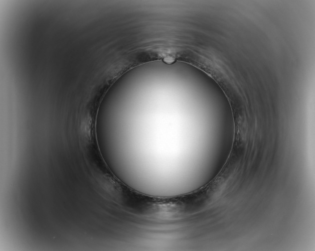 X0000088680650200706071427